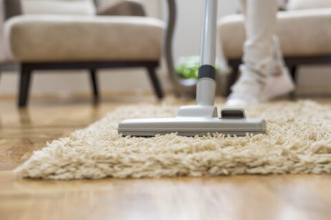 Permalink to:Carpet and Floor Cleaning
